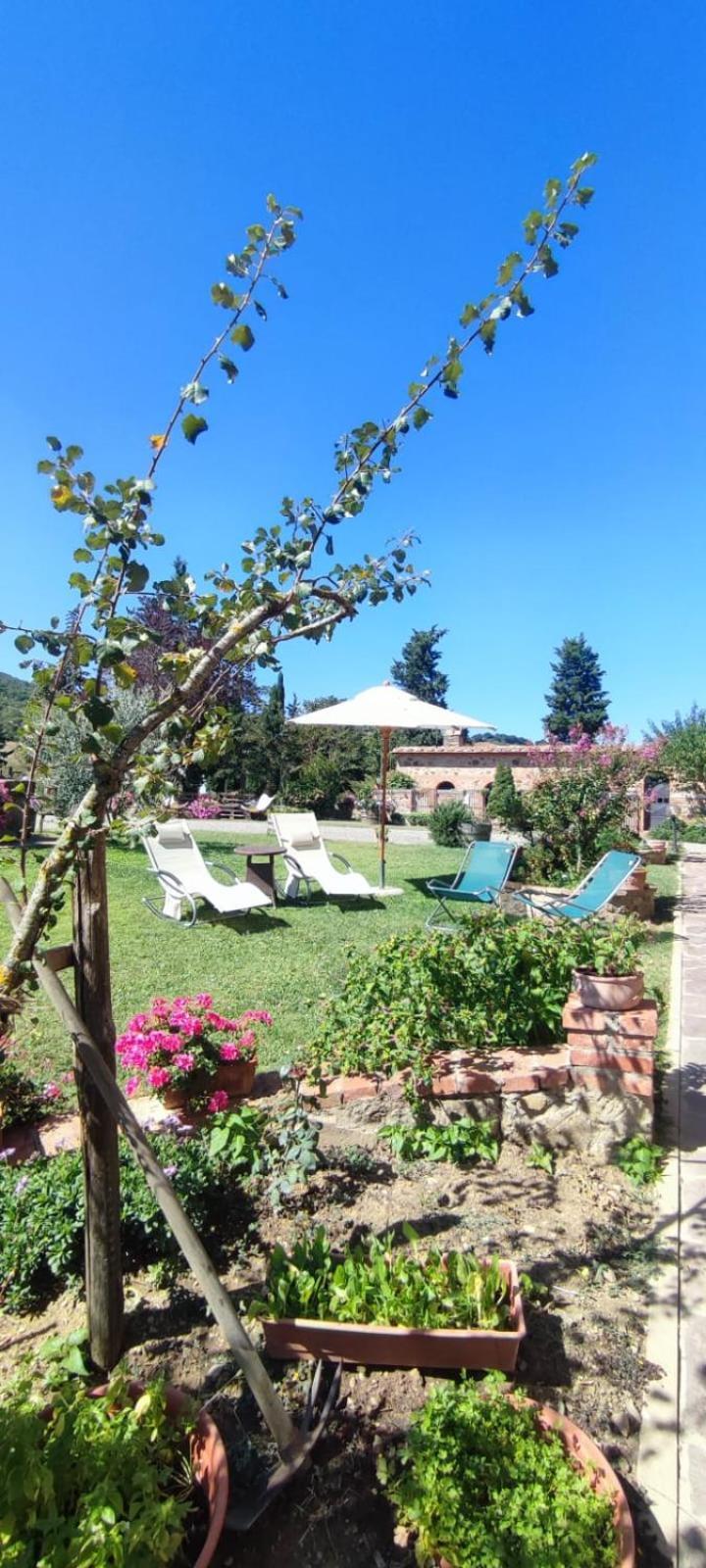 Agriturismo Il Pozzo Castiglione dʼOrcia Extérieur photo